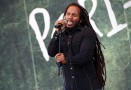 Ziggy Marley