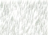 Päivinen, Pepa: Vihmoo